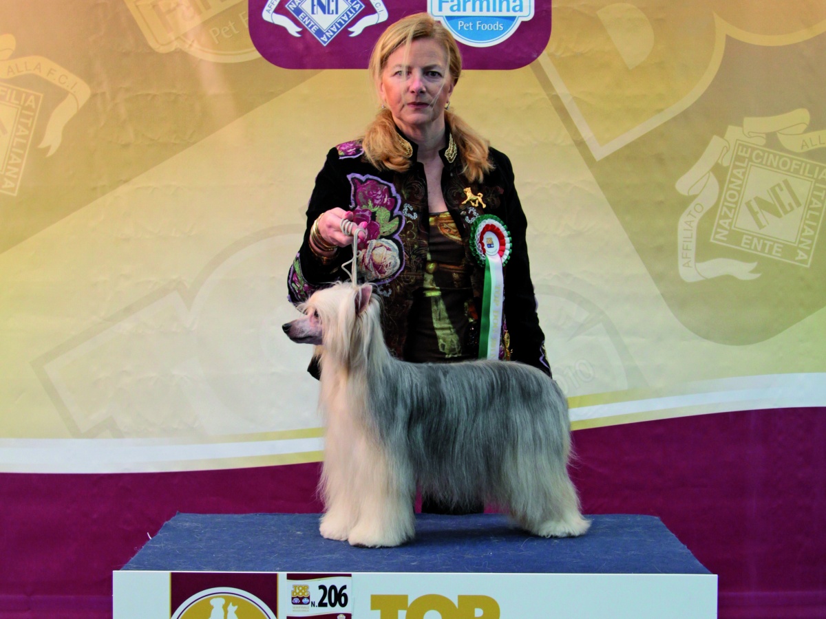 TOP DOG 2011