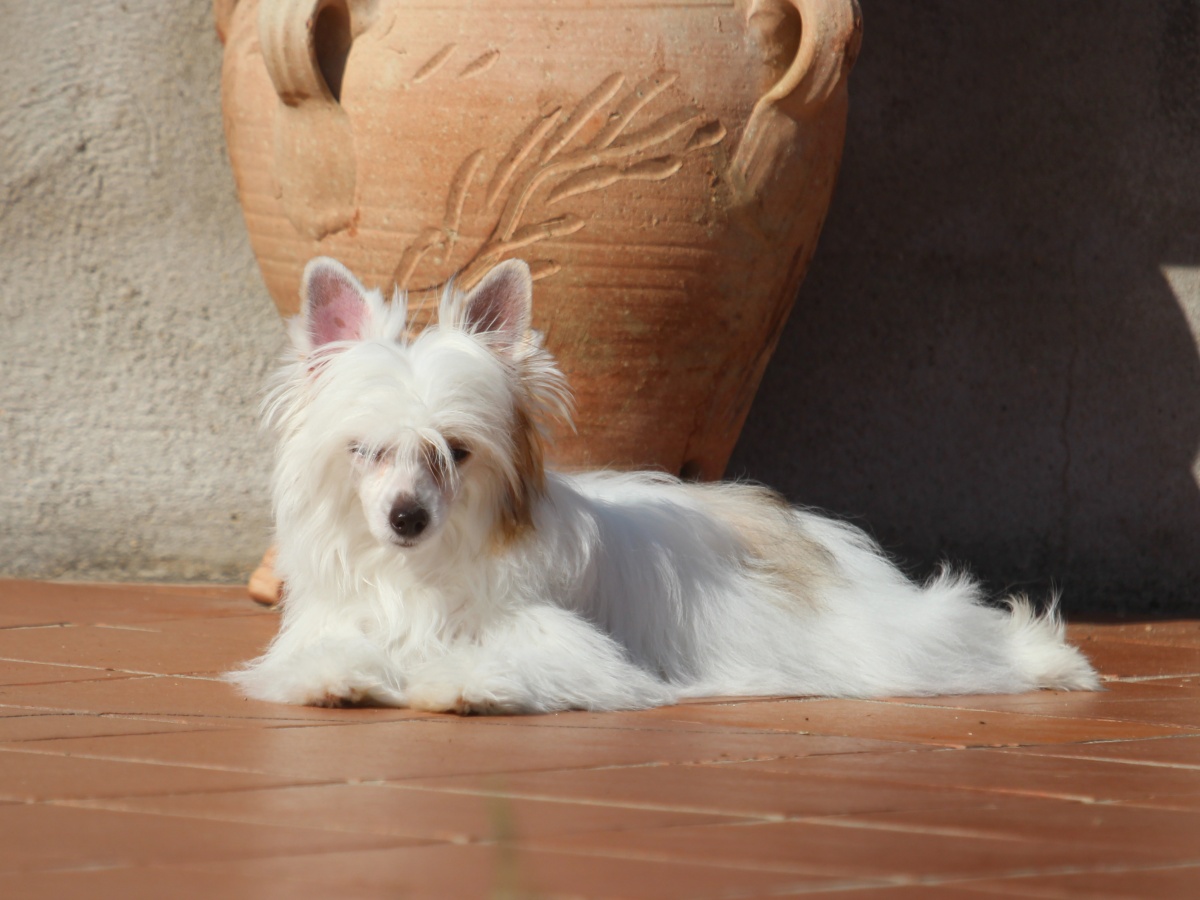 Blanca